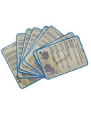 DIY Activity Kit & Adventure Box – Dear Zoo