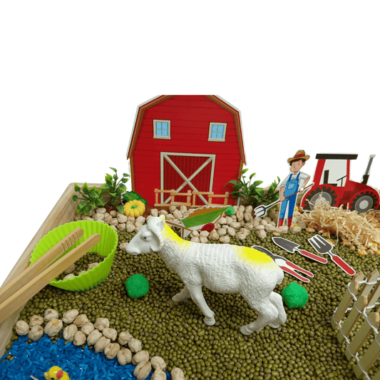 Sensory DIY Play Kit I For 3-8 year Kids - Farm Animal