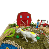 Sensory DIY Play Kit I For 3-8 year Kids - Farm Animal