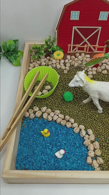 Farm Animal Sensory DIY Play Kit